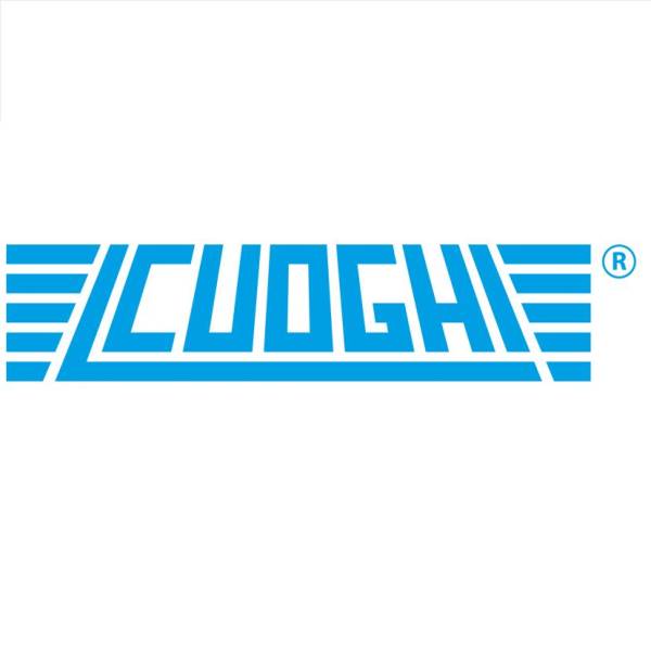 CUOGHI S.R.L. SCHEDA ELETTRONICA NEB6.5 M901-1