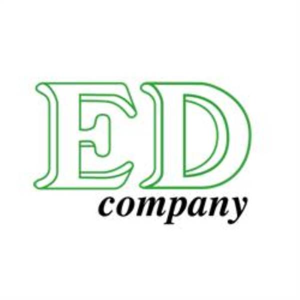 E.D. COMPANY S.R.L. TERMOMETRO DIGIT.ALTE TEMP.SDT62/P1